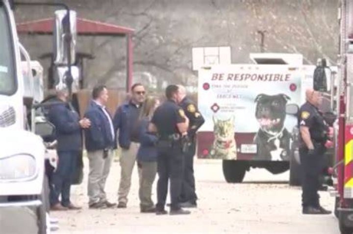
81-year-old San Antonio man mauled to death by dogs ID’d as Air Force vet 