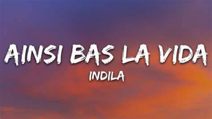 Ainsi Bas La Vida TikTok Meaning And Lyrics Explained What Language Is This Song?