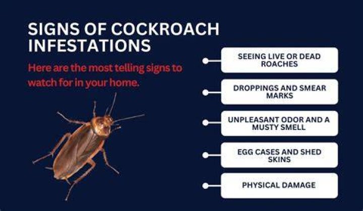 “Always been profit over patients”: HCA Hospital roaches infestation sparks online concern