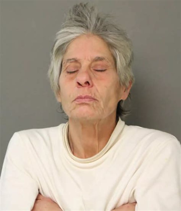 
Chicago Woman, 61, Arrested After She Allegedly Stabbed 15-Year-Old Girl’s Dog During Walk 