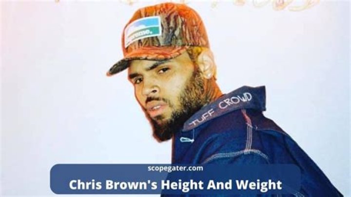
Chris Brown Height, Weight, Net Worth, Age, Birthday, Wikipedia, Who, Instagram, Biography 