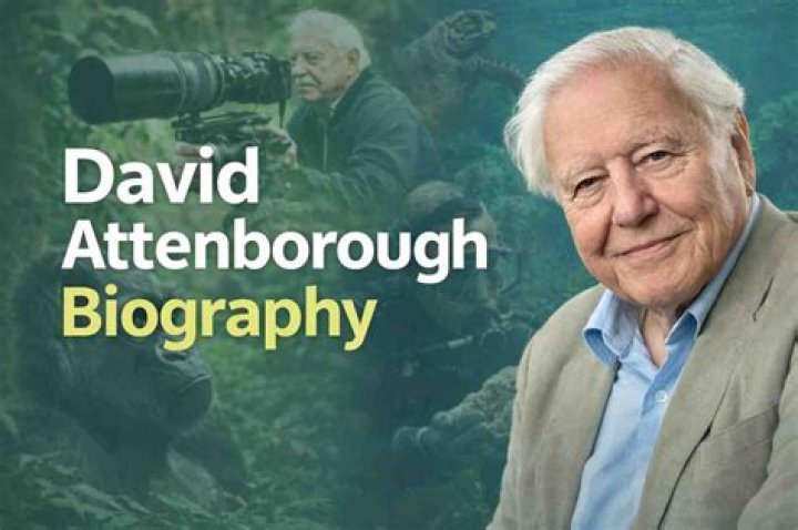 David Attenborough Height, Weight, Net Worth, Age, Birthday, Wikipedia, Who, Nationality, Biography