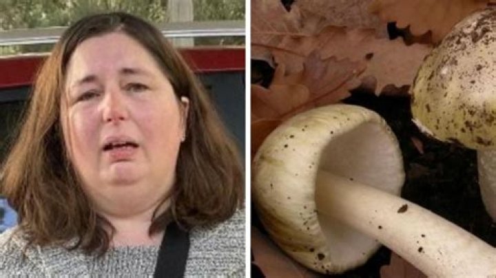 
Erin Patterson Death Cause | In-Laws Died Due To Mushroom Poisoning 