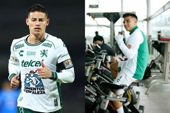 
Fernando Beltran Height, Weight, Net Worth, Age, Birthday, Wikipedia, Who, Instagram, Biography 