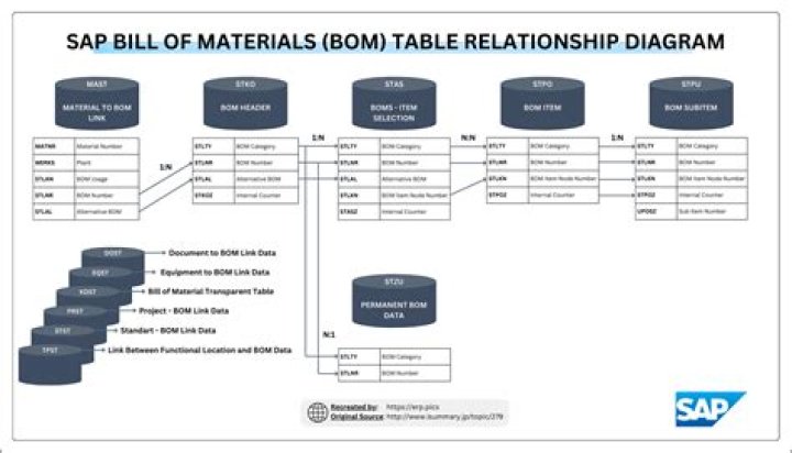 Is John Bol Related To Bol Bol? Relationship Explained