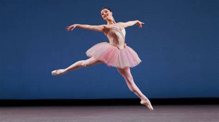 
Maria Cecchi Quit Her Job As A Dancer To Give Emphasis To Boxing- Her Wikipedia Details Explored 