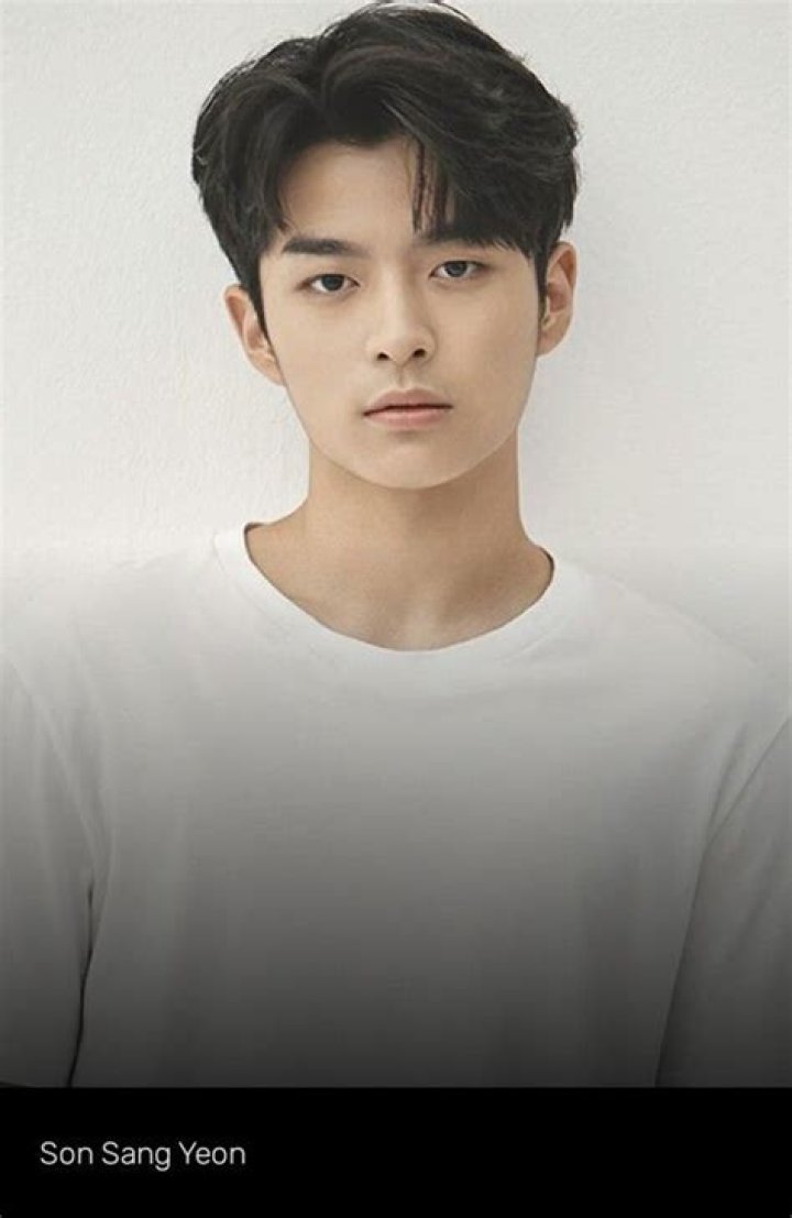 
Son Sang-yeon Height, Weight, Net Worth, Age, Birthday, Wikipedia, Who, Nationality, Biography 
