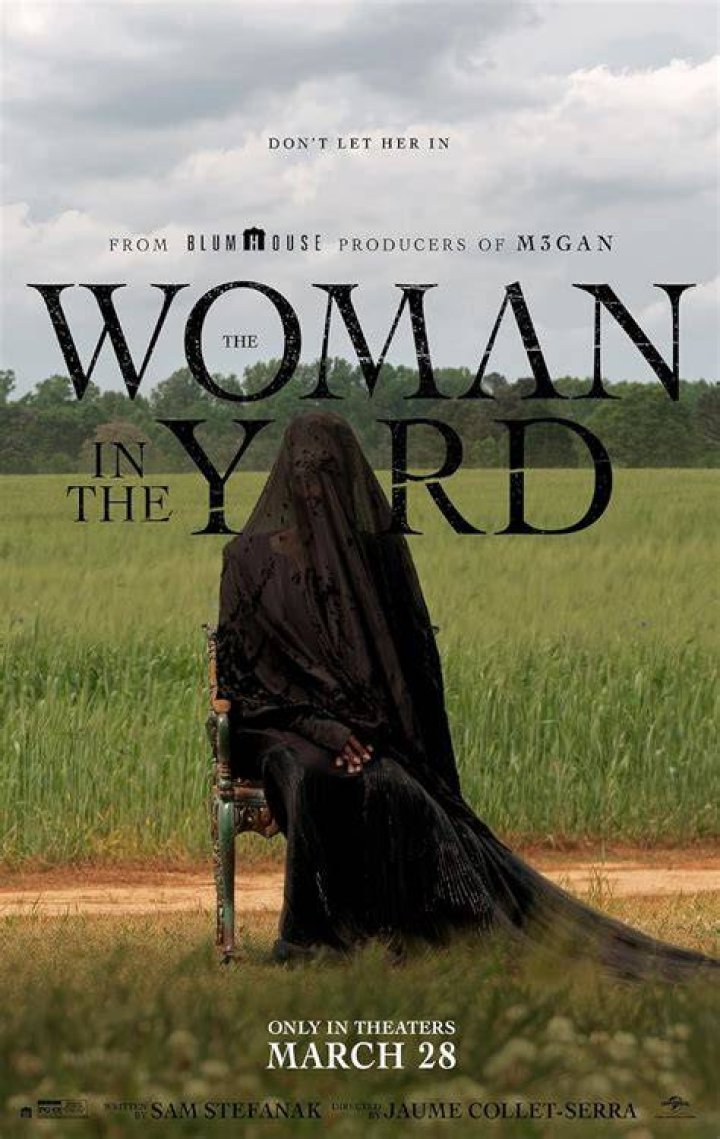 The Woman in the House: Is The Woman Across the Lake a real book?