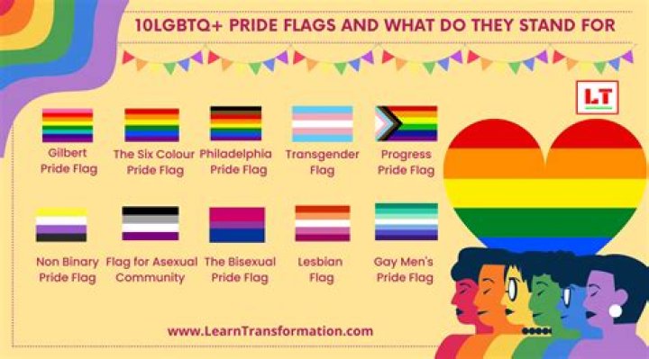 
What does stem mean on TikTok? LGBTQ label explained 