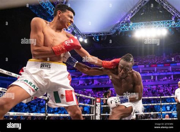 Who is Luis Alcaraz Pineda? Career & Boxing Record, Training footage Revealed